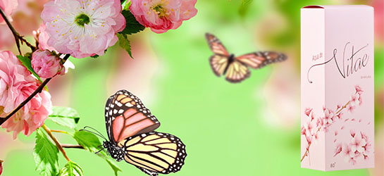 Aqua de Vitae Shakura Japon Kirazı Çiçeği Kolonyası 400 ML Pet - Görsel 2